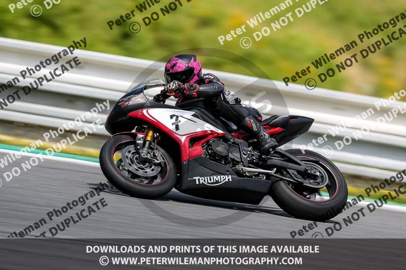 15 to 17th july 2013;Brno;event digital images;motorbikes;no limits;peter wileman photography;trackday;trackday digital images